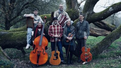 Featured image for Into the Winter’s Night – Owl in the Sun